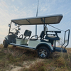 New Design Customized 6 Seats Electric Buggy Golf Cart