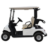  Factory 2 Seat Golf Carts with 48V Lithium Battery/Lead Batteries