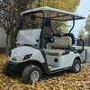 Manufacturer China High Quality 4 Wheels Electric Golf Cart with Large Storage