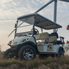 4+2seats Golf Buggy Max Speed 25km/H for Personal Use