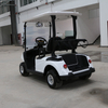  Factory 2 Seat Golf Carts with 48V Lithium Battery/Lead Batteries