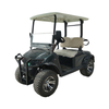 Electric Golf Hunting Buggy Car 14 Inch Tires Aluminum Alloy Body 2 Seats Cart