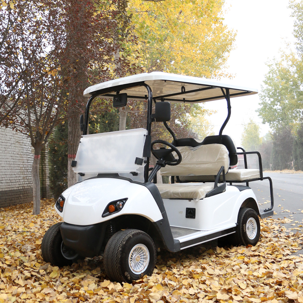 electric golf cart