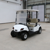  Factory 2 Seat Golf Carts with 48V Lithium Battery/Lead Batteries