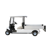 Electric Golf Buggy Electric Golf Cart with Dump Bed