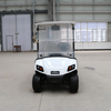 2 Seater Golf Club Car Buggy Golf with LED Dashboard