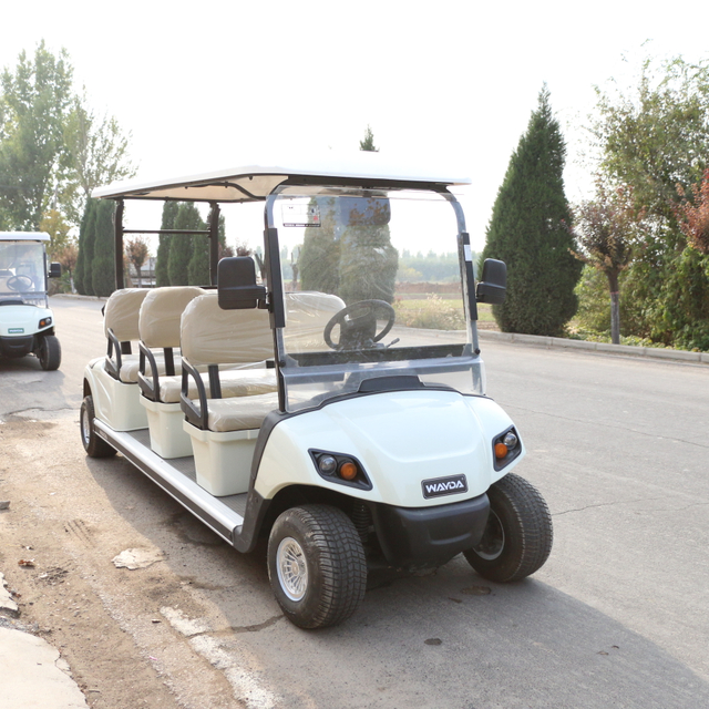 Chassis Precedent Club Golf Cart with 48V 72V Lithium Ion Battery