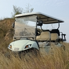 4+2seats Golf Buggy Max Speed 25km/H for Personal Use