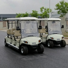 New Design Hot Sell Golf Cart with 48V Electric Buggy Car Price