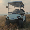 6seats Electric Golf Cart with AC Motor