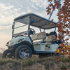 4+2seats Golf Buggy Max Speed 25km/H for Personal Use