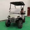 Electric Golf Cart 2seats 4seats with 48V Lithium Battery