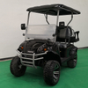 Electric Golf Cart 2seats 4seats with 48V Lithium Battery