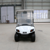  Factory 2 Seat Golf Carts with 48V Lithium Battery/Lead Batteries