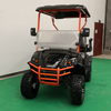 Electric Golf Cart 2seats 4seats with 48V Lithium Battery