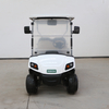 New Design Cheap Electric Golf Carts Lead Acid Baterry Selected with 4 Wheels