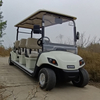 New Design Hot Sell Golf Cart with 48V Electric Buggy Car Price