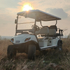 6seats Electric Golf Cart with AC Motor