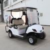 Manufacturer China High Quality 4 Wheels Electric Golf Cart with Large Storage