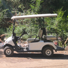 New Design Cheap Electric Golf Carts Lead Acid Baterry Selected with 4 Wheels