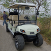 New Design Customized 6 Seats Electric Buggy Golf Cart