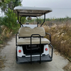 6 Passenger Lifted Golf Car Brand New 4 Wheel Electric Club Car Golf Cart for Sale