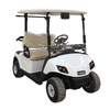  Factory 2 Seat Golf Carts with 48V Lithium Battery/Lead Batteries