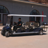 New Designed 8 Seater Buggy Golf Cart