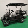 Electric Golf Cart 2seats 4seats with 48V Lithium Battery