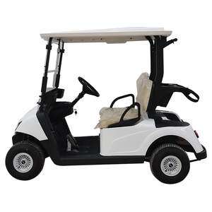 2 Seats Electric Golf Four Wheel Car