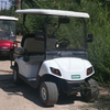 New Design Cheap Electric Golf Carts Lead Acid Baterry Selected with 4 Wheels