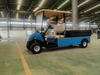 Mini Transpporter Electric Golf Cargo Vehicle Golf Buggy 2 Seater Great Loading Ability with Dump Bed