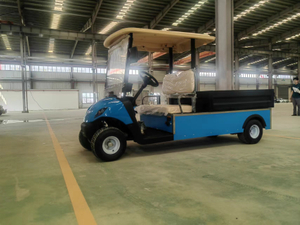 Mini Transpporter Electric Golf Cargo Vehicle Golf Buggy 2 Seater Great Loading Ability with Dump Bed