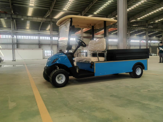 Mini Transpporter Electric Golf Cargo Vehicle Golf Buggy 2 Seater Great Loading Ability with Dump Bed