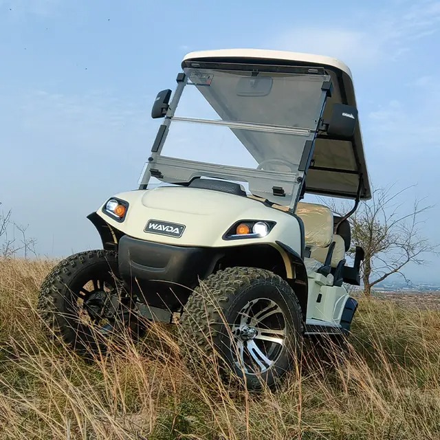 Electric Golf Cart