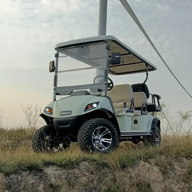 an Electric Golf Cart