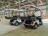 Small Transporter with Dump Bed Electric Golf Cart