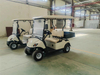 Small Transporter with Dump Bed Electric Golf Cart