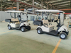 Small Transporter with Dump Bed Electric Golf Cart