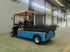 Mini Transpporter Electric Golf Cargo Vehicle Golf Buggy 2 Seater Great Loading Ability with Dump Bed